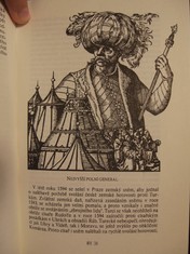 náhled knihy - 