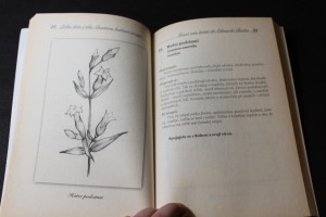 náhled knihy - 