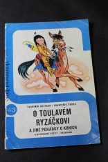 náhled knihy - O toulavém Ryzáčkovi a jiné pohádky o koních