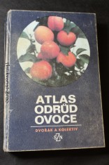 náhled knihy - Atlas odrůd ovoce