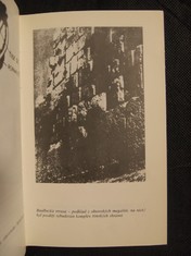 náhled knihy - 