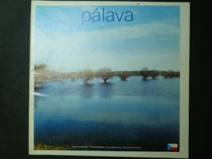 náhled knihy - Pálava - průvodce chráněnou krajinnou oblastí + Průvodce po naučné stezce Děvín