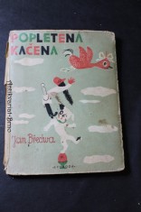 náhled knihy - Popletená kačena