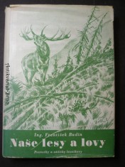 náhled knihy - Naše lesy a lovy - poznatky a zážitky lesníkovy