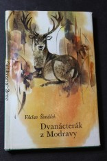 náhled knihy - Dvanácterák z Modravy