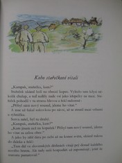 náhled knihy - 