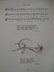 náhled knihy - 