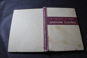 náhled knihy - Anatomie člověka. Svazek druhý, Nauka o kostech