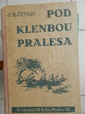 náhled knihy - Pod klenbou pralesa : pouť českého hocha Jižní Amerikou : dobrodružný román pro mládež