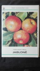 náhled knihy - Pomologické tabule: jabloně