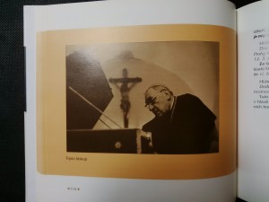 náhled knihy - 