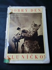 náhled knihy - Dobrý den, sluníčko!