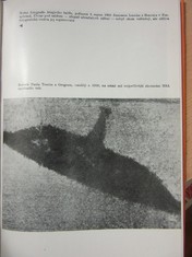 náhled knihy - 