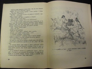 náhled knihy - 
