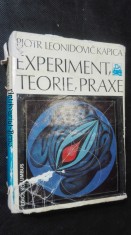 náhled knihy - Experiment, teorie a praxe