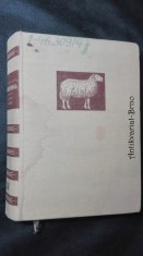 náhled knihy - Špeciálna zootechnika IV: Chov oviec