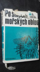 náhled knihy - Po stopách mořských oblud