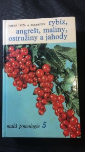náhled knihy - Rybíz, angrešt, maliny, ostružiny a jahody