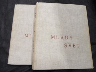 náhled knihy - 