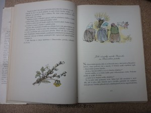 náhled knihy - 
