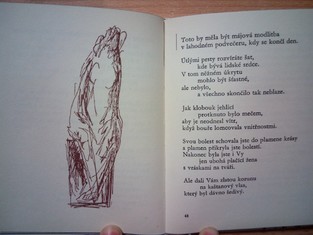 náhled knihy - 