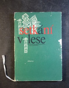 náhled knihy - Setkání v lese : ruská pohádka
