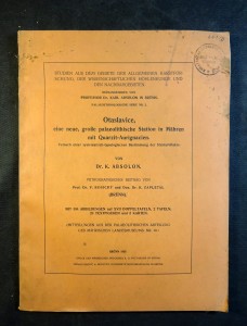 náhled knihy - Otaslavice, eine neue, grosse palaeolithische Station in Mähren mit Quarzit-Aurignacien : Versuch einer systematisch-typologischen Bestimmung der Steinartefakte