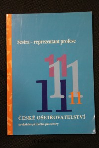 náhled knihy - Sestra - reprezentant profese