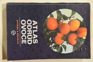náhled knihy - Atlas odrůd ovoce