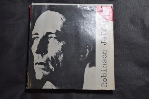 náhled knihy - Básně z Jestřábí věže