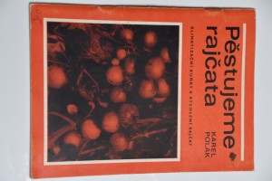 náhled knihy - Pěstujeme rajčata : klimatizační buňky k rychlení rajčat