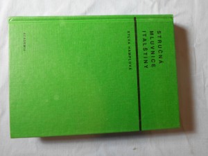 náhled knihy - Stručná mluvnice italštiny