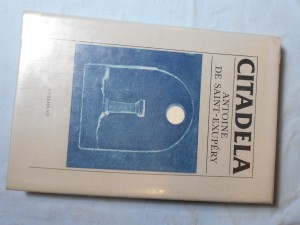 náhled knihy - Citadela