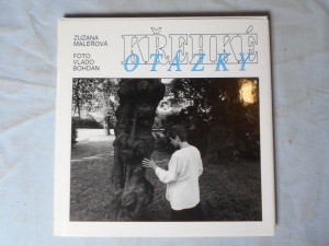 náhled knihy - Křehké otázky