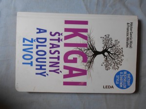 náhled knihy - Ikigai : šťastný a dlouhý život