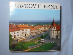 náhled knihy - Slavkov u Brna : město a okolí