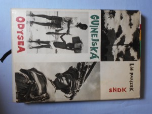 náhled knihy - Guinejská odysea