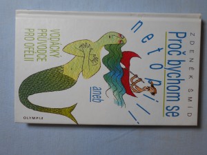 náhled knihy - Proč bychom se netopili, aneb, Vodácký průvodce pro Ofélii