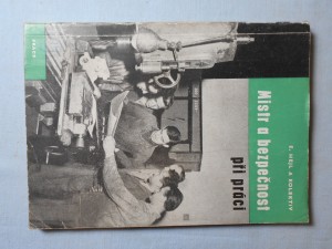 náhled knihy - Mistr a bezpečnost při práci