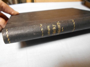 náhled knihy - Otázky a názory : 100 článků z Lidových novin