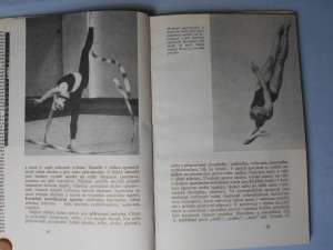 náhled knihy - 
