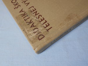 náhled knihy - Didaktika školskej telesnej výchovy