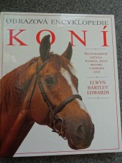 náhled knihy - Obrazová encyklopedie koní