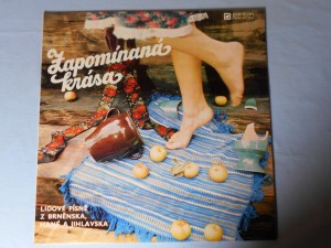 náhled knihy - Zapomínaná krása - Lidové písně z Brněnska, Hané a Jihlavska