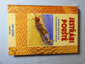 náhled knihy - Jestřábi pouště : vzpomínky amerického pilota na izraelskou válku za nezávislost
