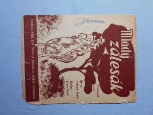 náhled knihy - Mladý zálesák : Trampská píseň