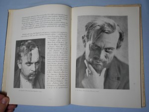 náhled knihy - 