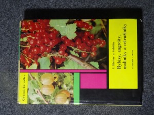 náhled knihy - Rybízy, angrešty, maliníky a ostružiníky