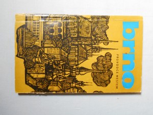 náhled knihy - Brno : průvodce městem