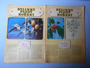 náhled knihy - Bylinky, plody, koření 1. Rostliny a lidé, 2.